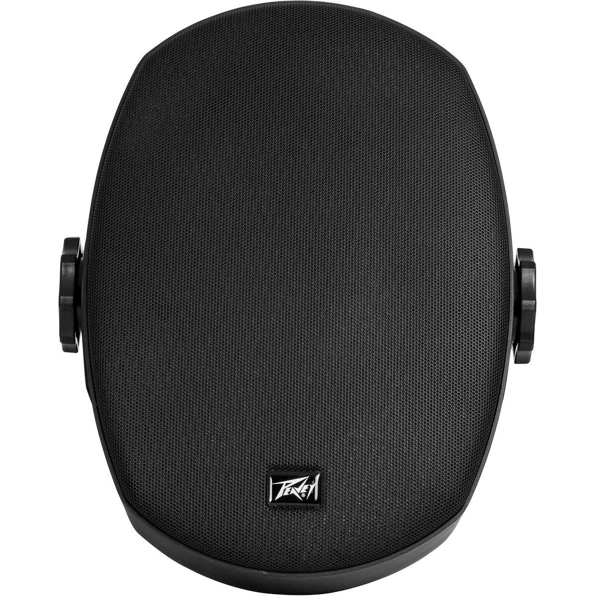 Peavey hot sale outdoor speakers